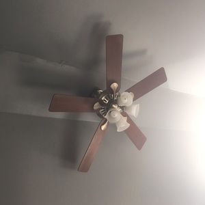 Meet your Posher, Wayne